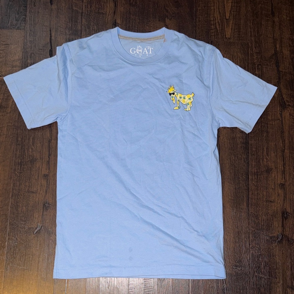 Light Blue Graphic T-Shirt